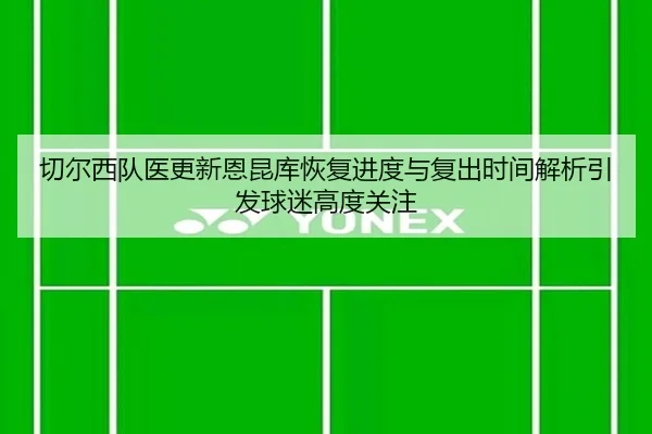 切尔西队医更新恩昆库恢复进度与复出时间解析引发球迷高度关注