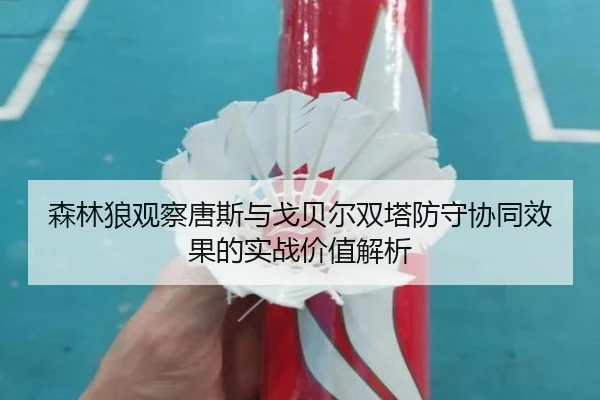 森林狼观察唐斯与戈贝尔双塔防守协同效果的实战价值解析